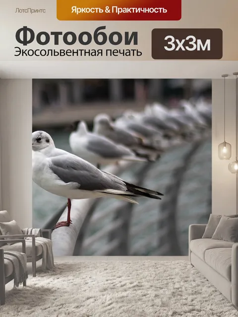 Фотообои Животное