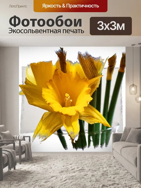 Фотообои Нарцисс цветок