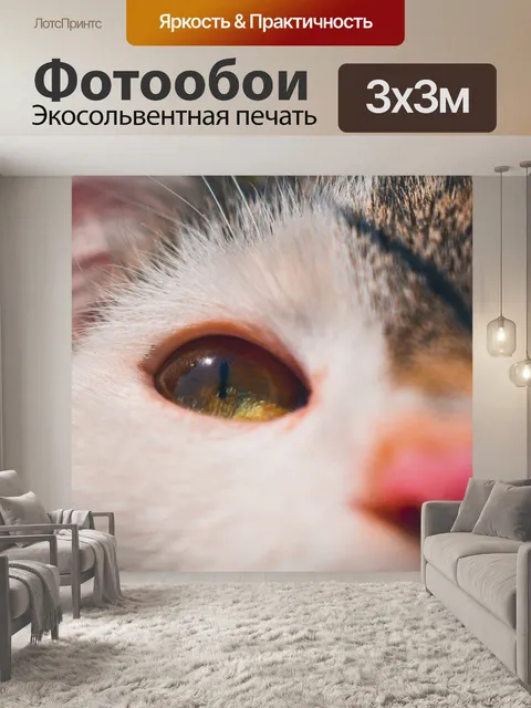 Фотообои Глаз