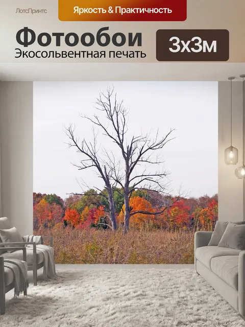 Фотообои Мертвые деревья осенью поле