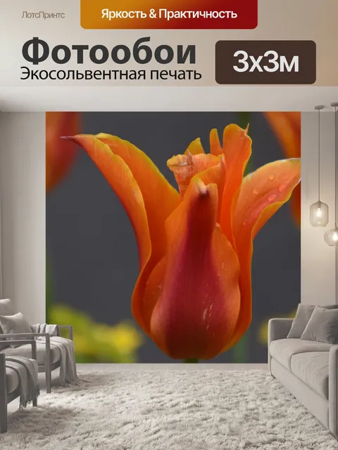 Фотообои Цветок