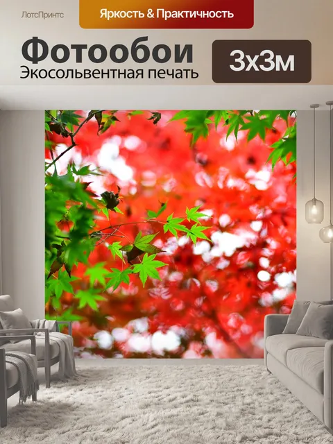 Фотообои Кленовый лист