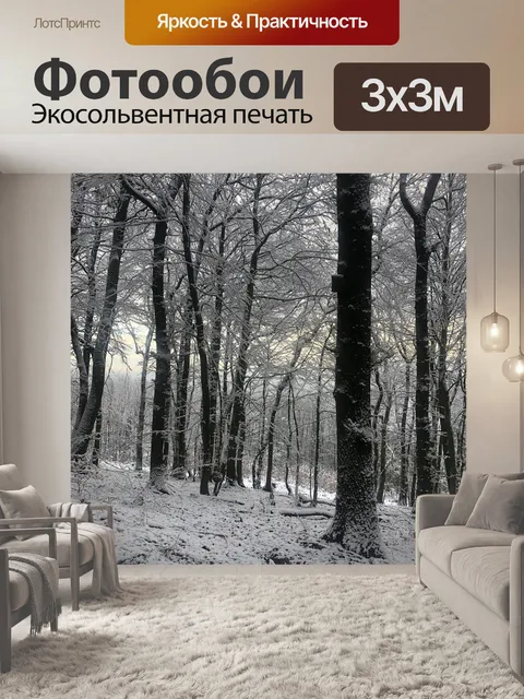 Фотообои Зима