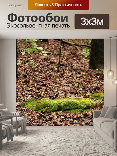 Фотообои Мосс покрыл скалы в лесу