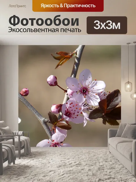 Фотообои Цветочно филиал