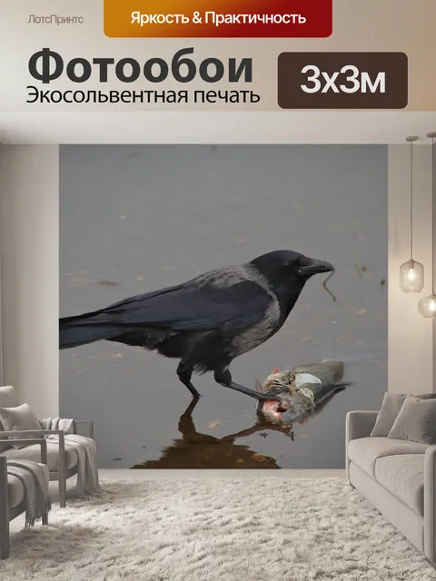 Фотообои Птица