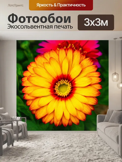 Фотообои градиент яркого цветка