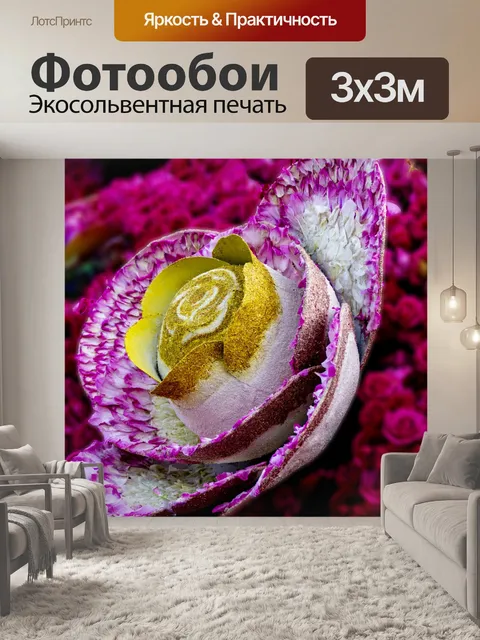 Фотообои роза из розовых педалей