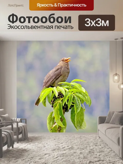 Фотообои Птица