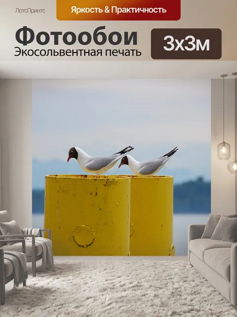 Фотообои Чайка