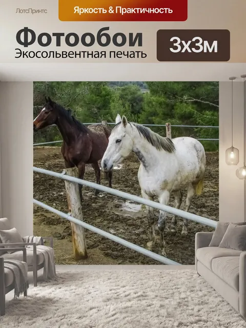 Фотообои Лошади