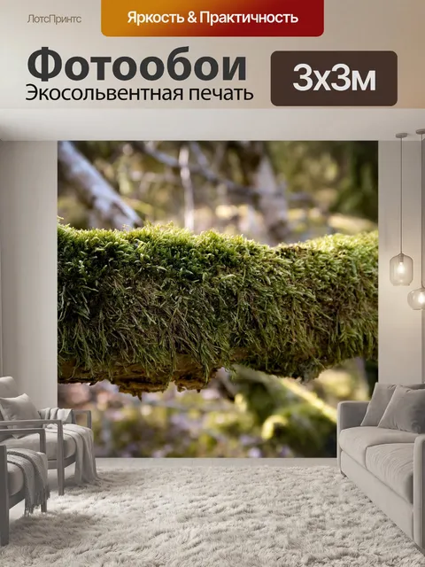 Фотообои Мох