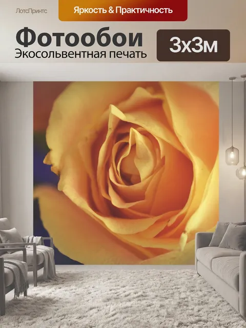 Фотообои Роза