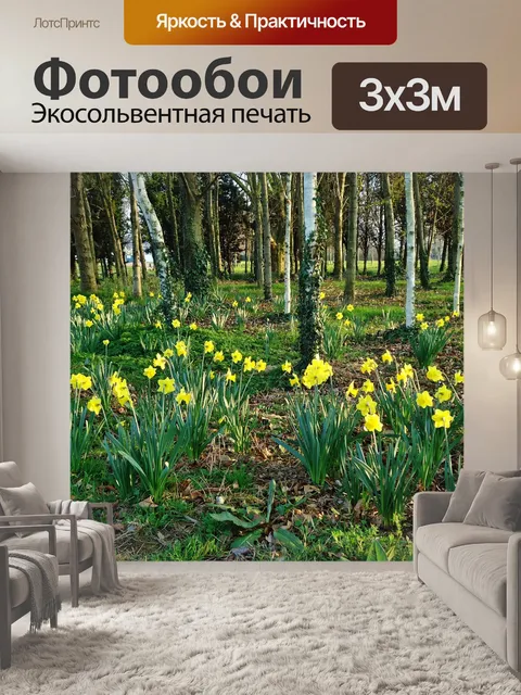 Фотообои Лес