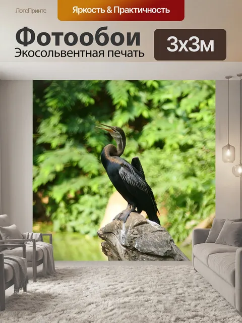 Фотообои Птицы