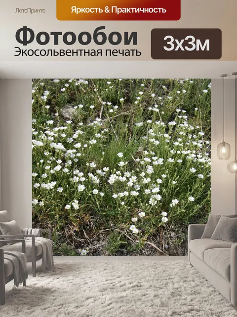 Фотообои Белый Горные цветы