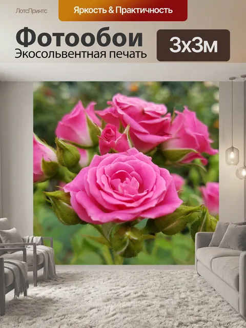 Фотообои Розы