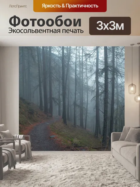 Фотообои Лесной путь