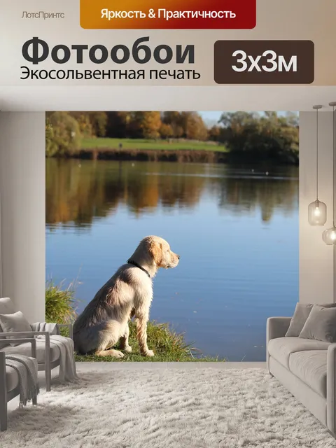 Фотообои Собака