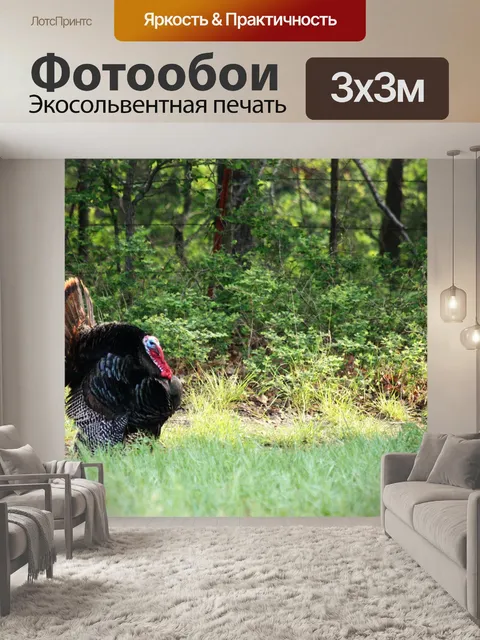 Фотообои Турецкая граница