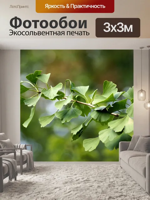 Фотообои Гинкго