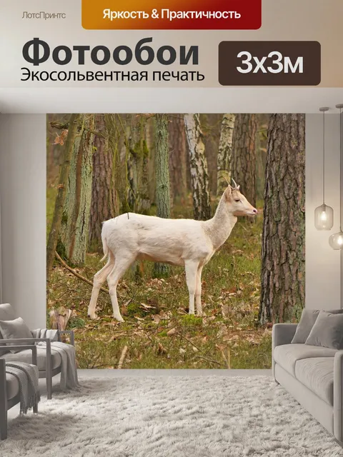 Фотообои Олень