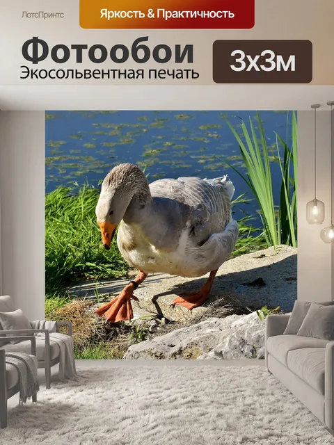 Фотообои Гусь