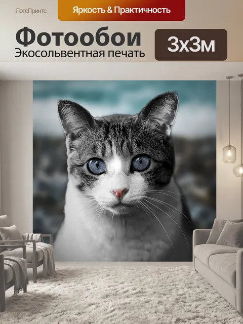 Фотообои Джая