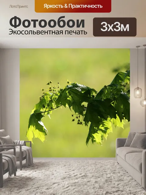 Фотообои Листья