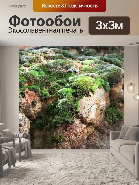 Фотообои Мосс покрыл скалы в лесу