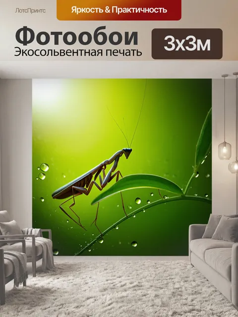 Фотообои в летнем утре, среди щебета птиц, богомол располагается на зеленом побеге, ожидая своей жертвы