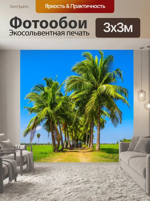 Фотообои Пальмы