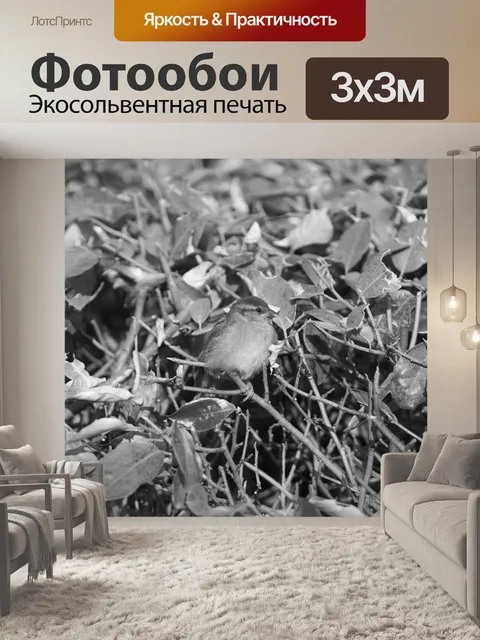 Фотообои Маленький воробей на ветке