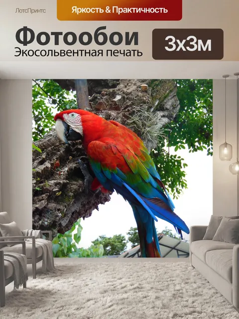 Фотообои Ара