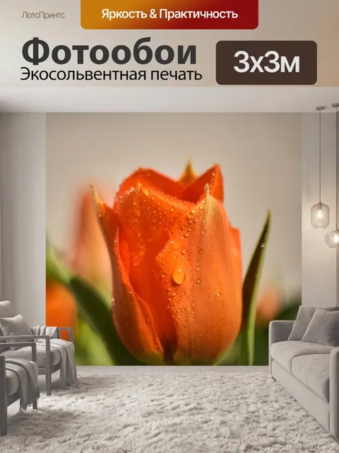 Фотообои Тюльпан