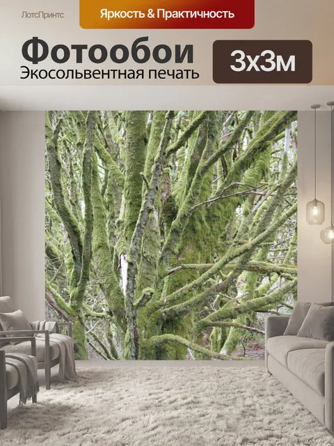 Фотообои Дерево