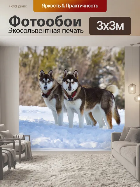 Фотообои Собаки