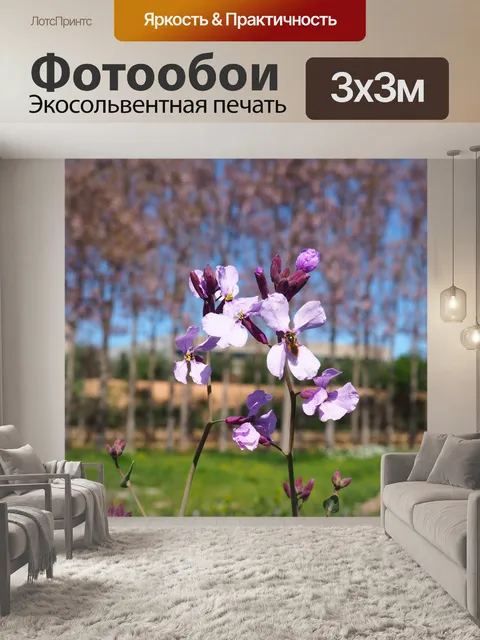 Фотообои Цветы