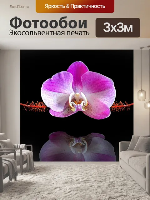 Фотообои Составление