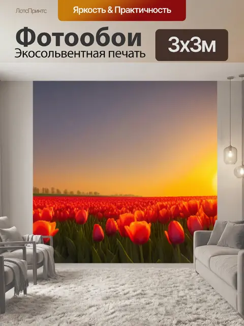 Фотообои тюльпаны и солнечный закат