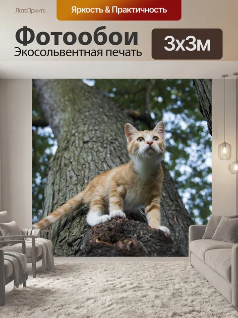 Фотообои Природа