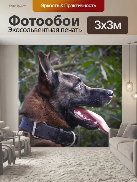 Фотообои Природа