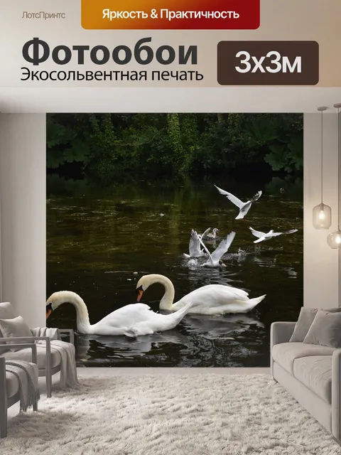 Фотообои Лебеди