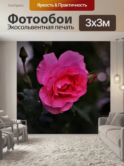 Фотообои Розы
