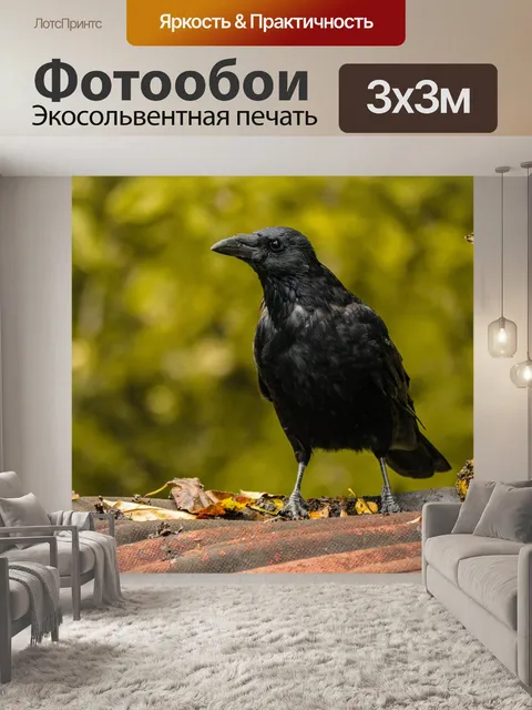 Фотообои Ворон