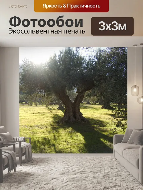 Фотообои Оливковые деревья