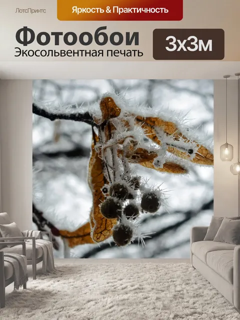 Фотообои Зимние листья