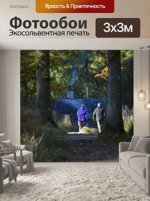 Фотообои лес