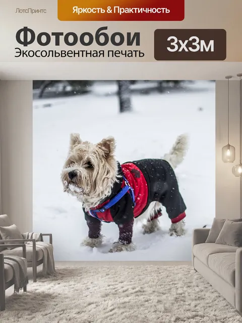 Фотообои Собака