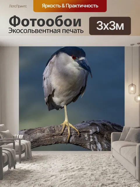 Фотообои Ночная цапля